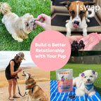 Freeze-Dried Blueberry Dog Training Treats in 2-Ounce Bags, Single and Multipack Sizes for Reward Sessions source image 8