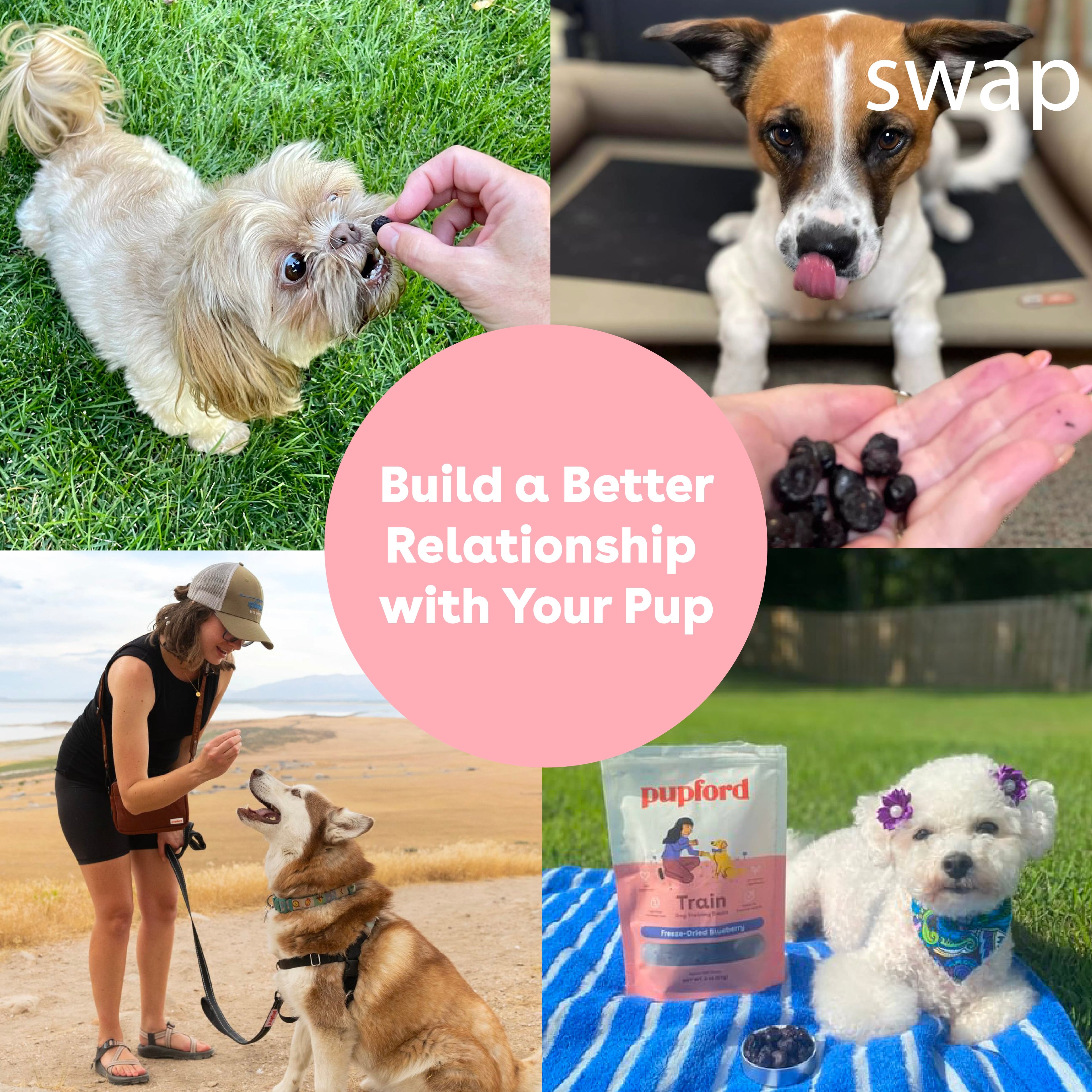 Freeze-Dried Blueberry Dog Training Treats in 2-Ounce Bags, Single and Multipack Sizes for Reward Sessions source image 8
