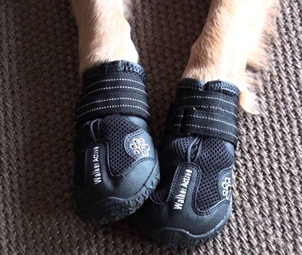 Non-Slip Dog Walking Boots, Two-Piece Paw Protection Pair with Reflective Strips and Secure Velcro Fit source image 8