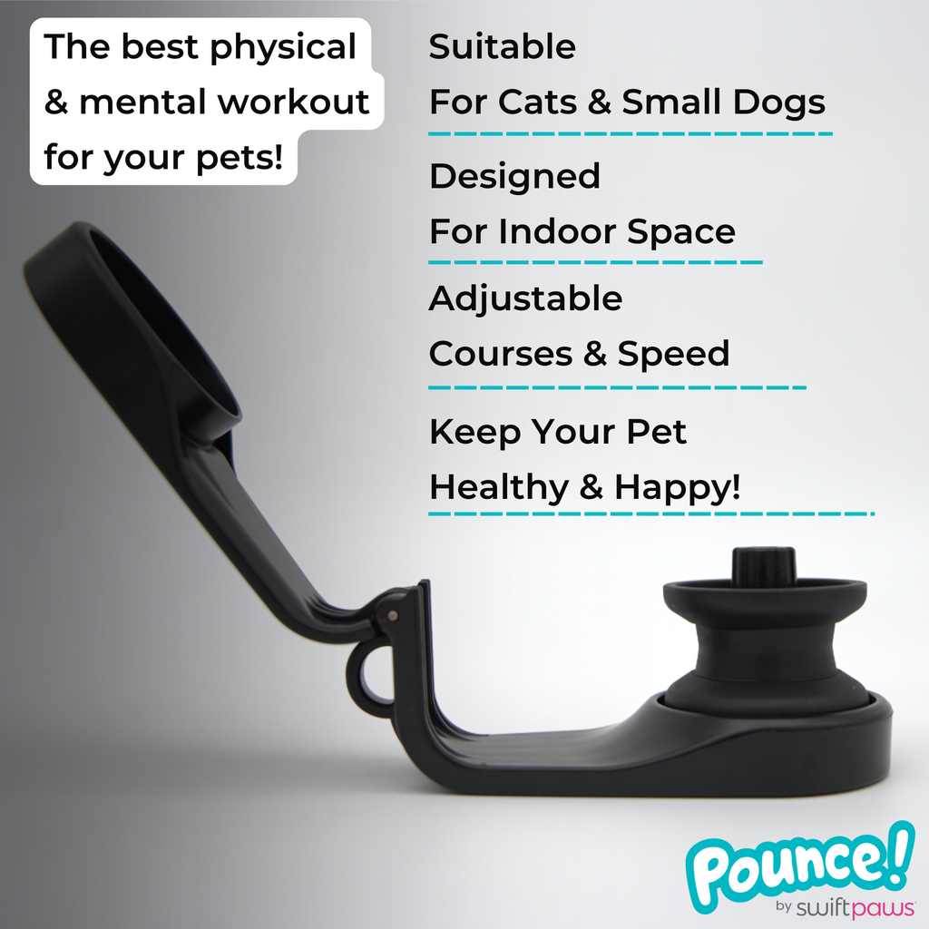 Indoor Pet Lure Course for Cats and Small Dogs, Automatic 10-Minute Play, USB-C Power and Magnetic Pulleys source image 8