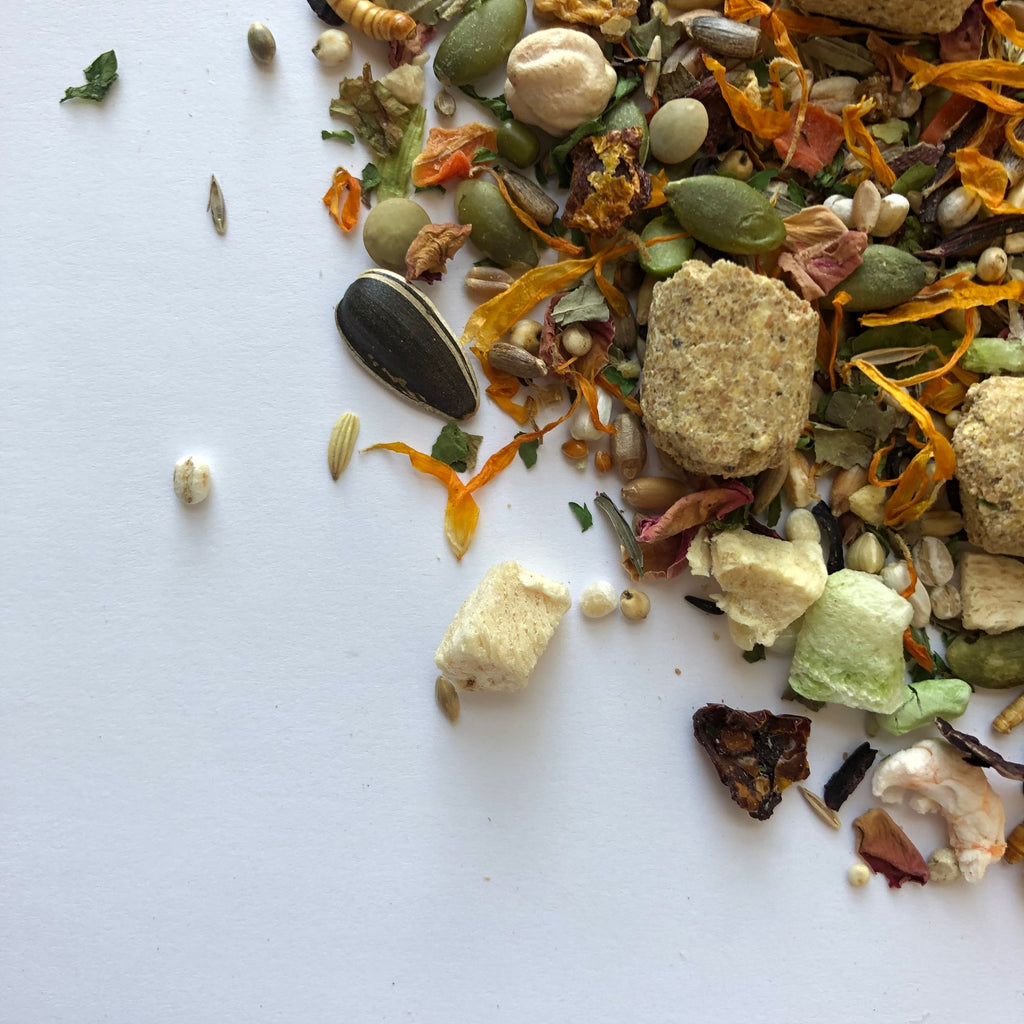 Syrian Hamster Food Mix, Age-Specific Young and Adult Recipes Featuring Seeds, Grains and Insects source image 8