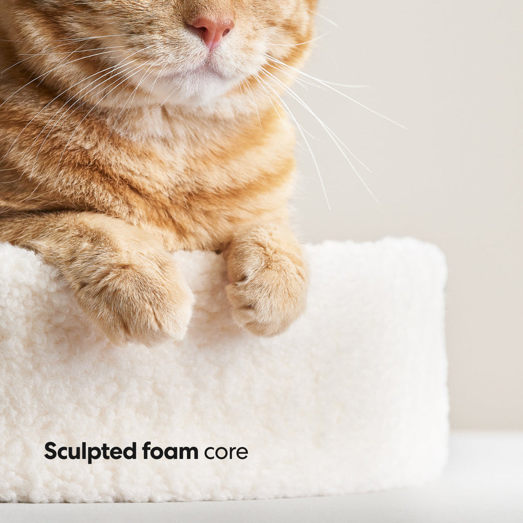 Nest-Shaped Cat Bed with Sculpted Foam Core and Faux Shearling Cover in Small, Wide or Two-Bed Set source image 8