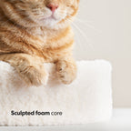 Nest-Shaped Cat Bed with Sculpted Foam Core and Faux Shearling Cover in Small, Wide or Two-Bed Set source image 8