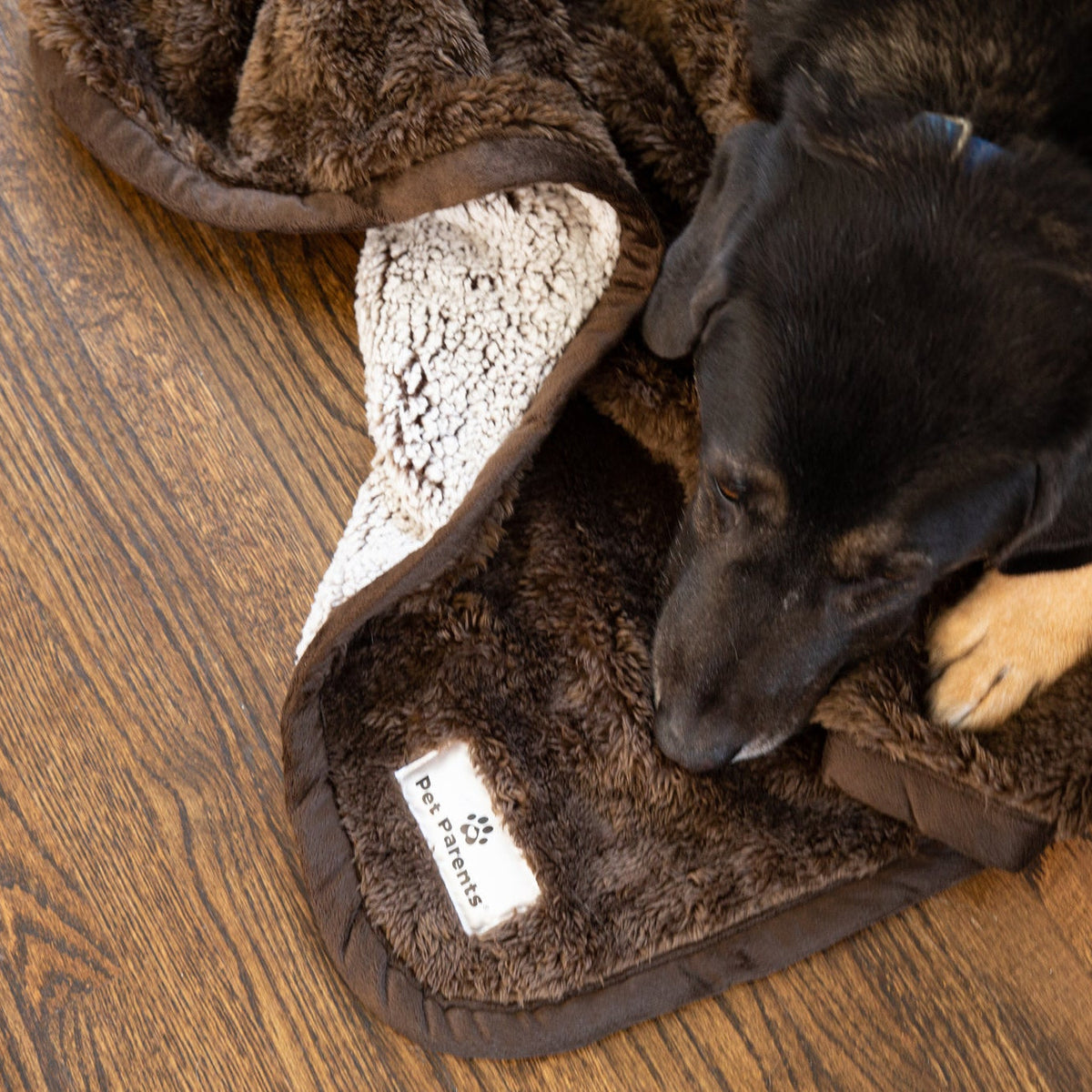 Waterproof Pet Blanket with Absorbent Core and Reinforced Edge Binding in Four Washable Sizes source image 8