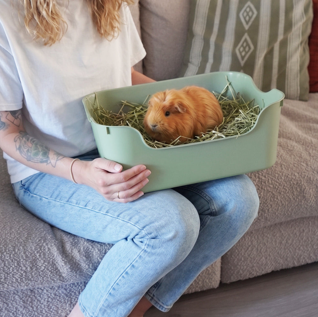 Small Animal Litter Box for Guinea Pigs and Rabbits, High-Sided Low-Entry Design in Five Colors source image 8