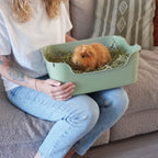 Small Animal Litter Box for Guinea Pigs and Rabbits, High-Sided Low-Entry Design in Five Colors source image 8