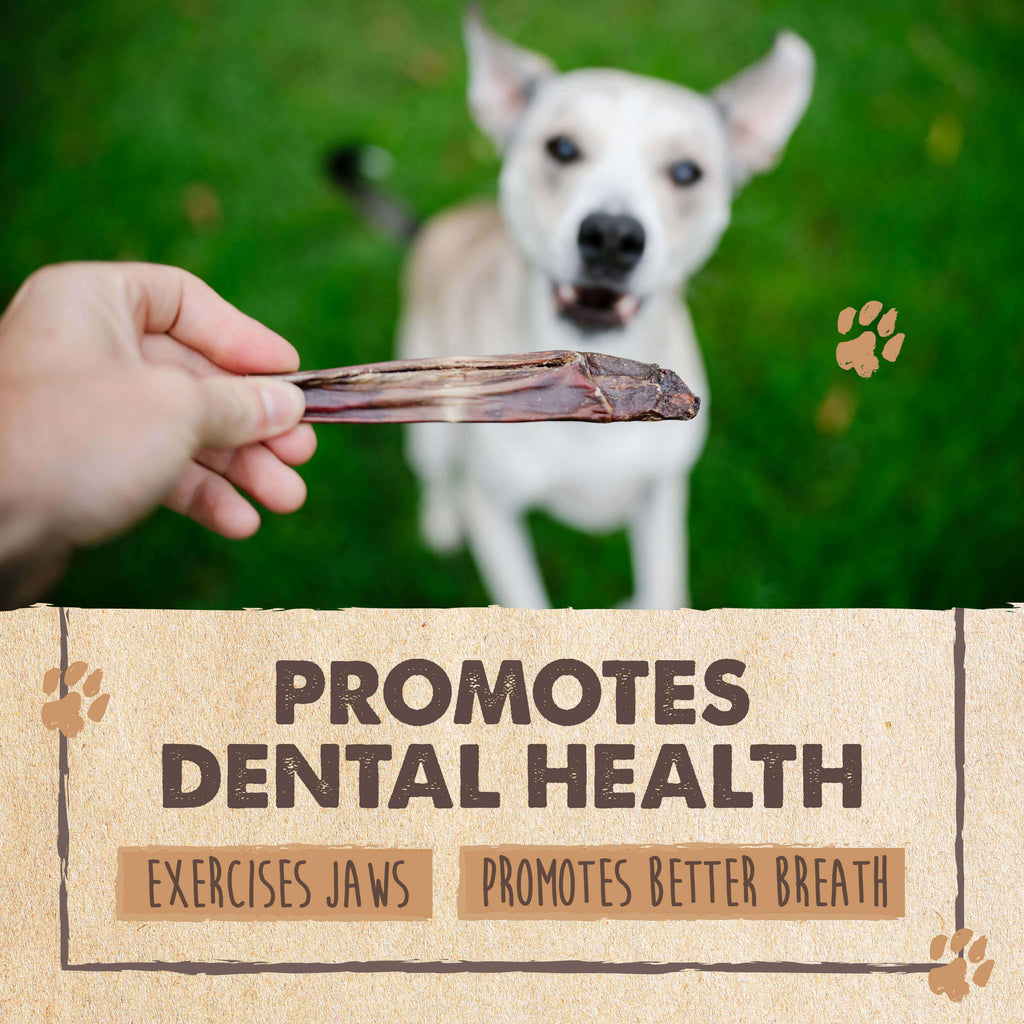 Single-Ingredient Beef Gullet Sticks for Dogs, 30-Pack Crunchy Chews for Puppies and Light Chewers source image 8