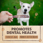 Single-Ingredient Beef Gullet Sticks for Dogs, 30-Pack Crunchy Chews for Puppies and Light Chewers source image 8