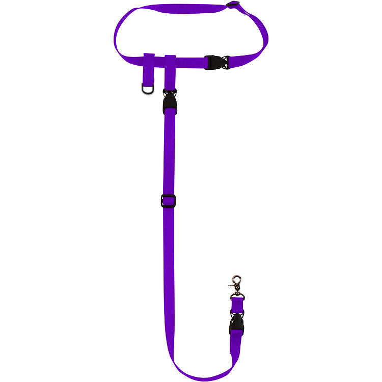 Hands-Free Waist Dog Leash for Walking and Running, Adjustable Length and Quick-Release Hardware source image 8