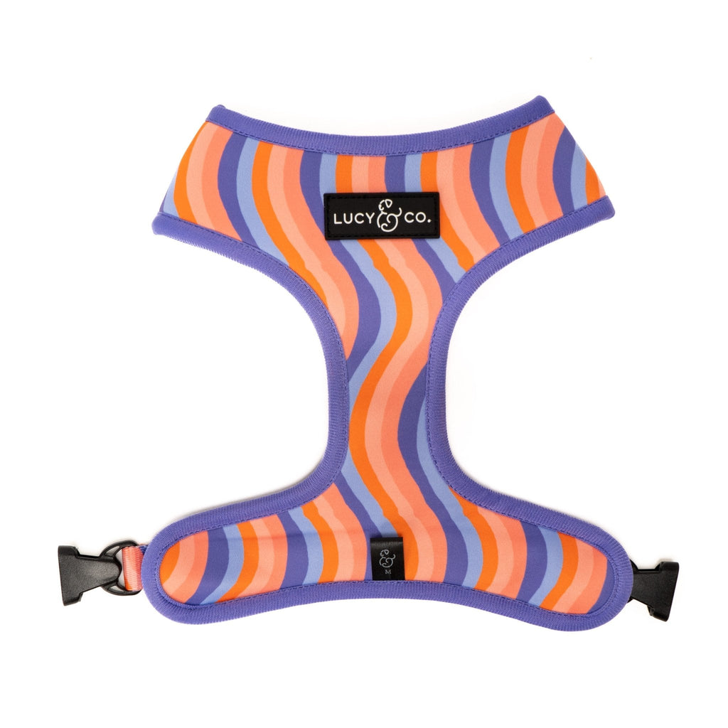 Reversible Floral Dog Harness in Water-Repellent Neoprene, Flexible Everyday Fit from XS to XL source image 8