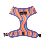 Reversible Floral Dog Harness in Water-Repellent Neoprene, Flexible Everyday Fit from XS to XL source image 8