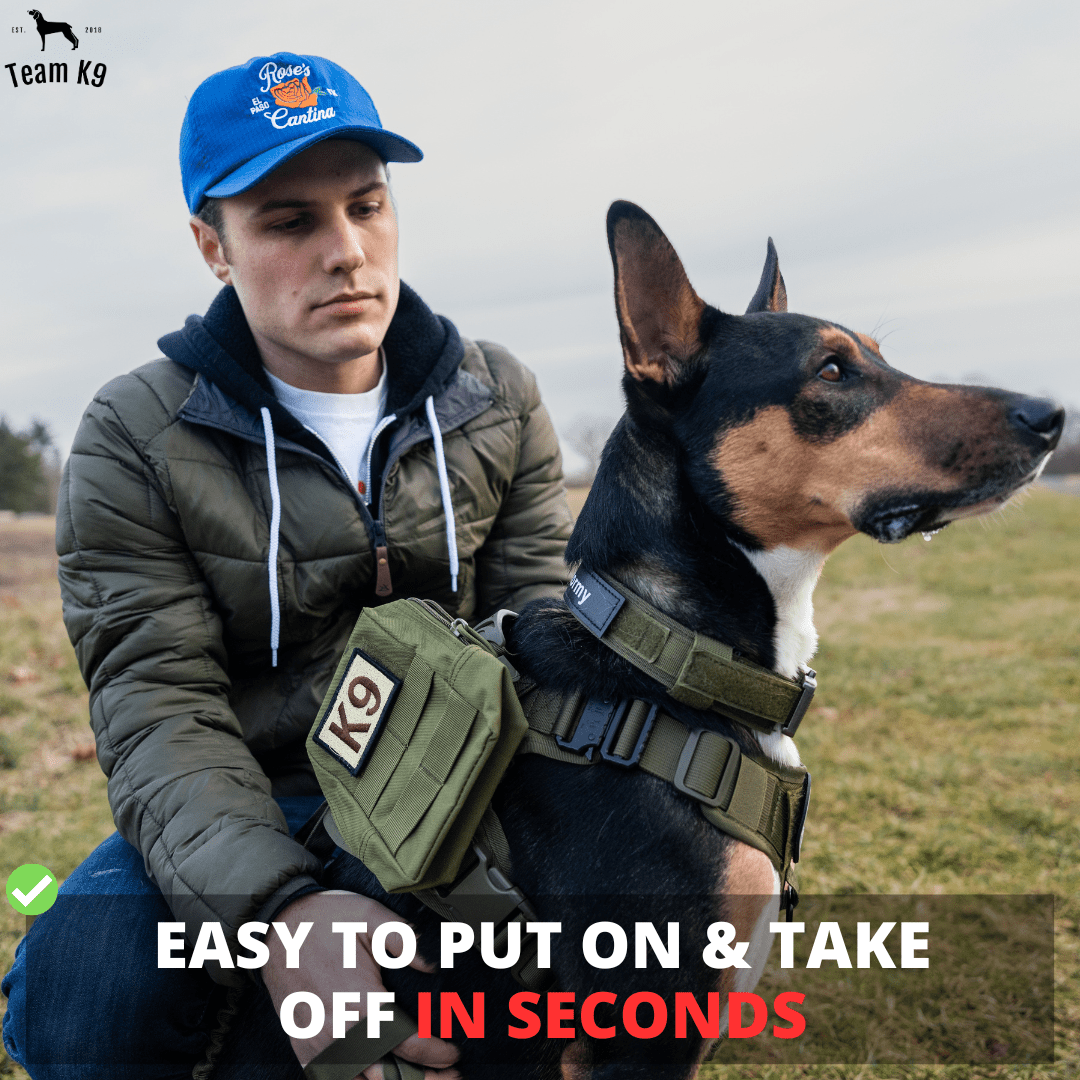 Heavy-Duty Tactical No-Pull Dog Harness with Dual D-Ring Control and Quick-Release Metal Buckles product image 8