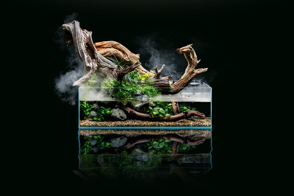 Rimless Shallow Aquarium Tank, Low-Iron Open-Top Design for Planted or Reef Aquascapes from 0.5 to 68.4 Gallons source image 8