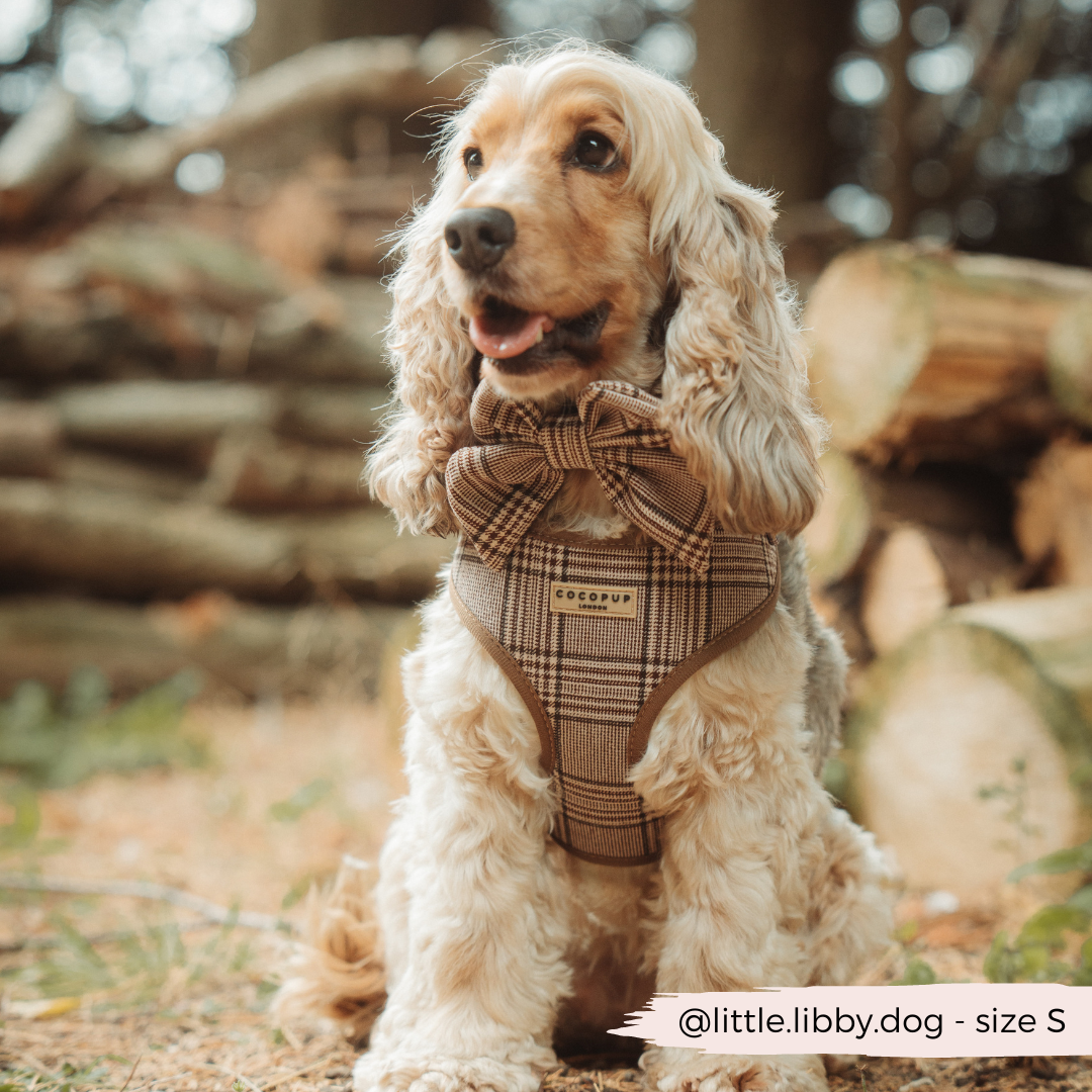 Adjustable Plaid Dog Harness for Comfortable Walks, Lightweight Polyester Design in Five Sizes source image 8