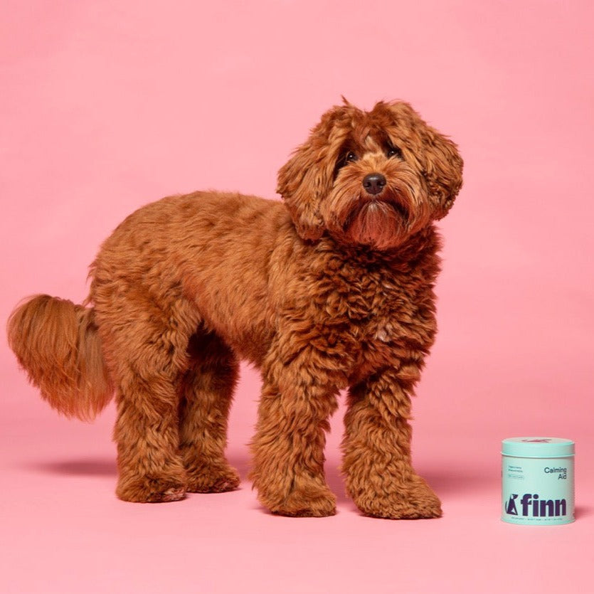 Calming Soft Chews for Dogs, Organic Herbal Daily Support for Stressful Moments and Hyperactive Behavior source image 8