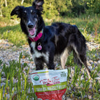 Organic Freeze-Dried Raw Dog Food with Chicken and Turkey, Grain-Free Complete Meal or Topper source image 8