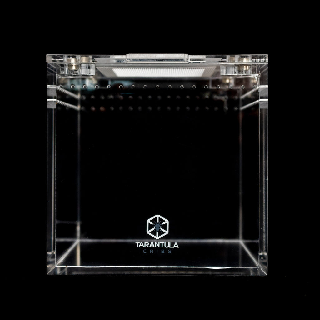 Four-Inch Acrylic Tarantula Terrarium, Compact Cube in Standard, Mesh, Max-Vent and Canopy Lid Styles source image 8