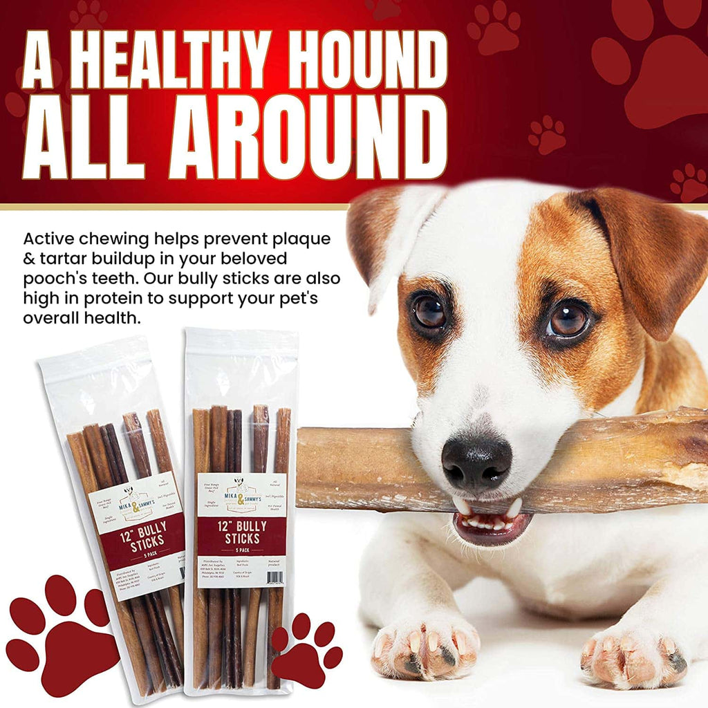 Smoked Bully Sticks for Dogs, 10 to 12 Inch American Beef Chews in 5, 10 and 20 Count Packs source image 8