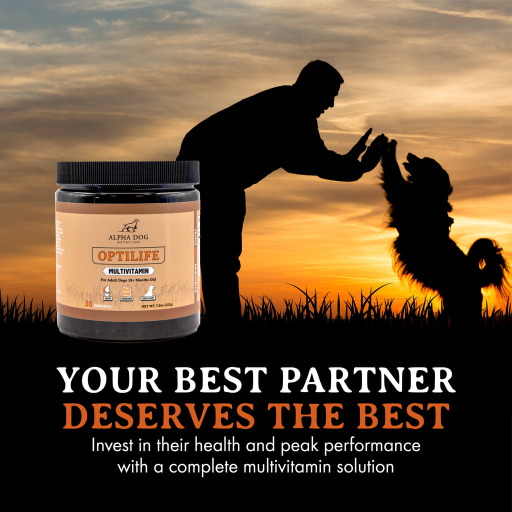 Whole-Food Adult Dog Multivitamin Powder for Daily Joint, Digestion, Immune and Skin Support source image 8