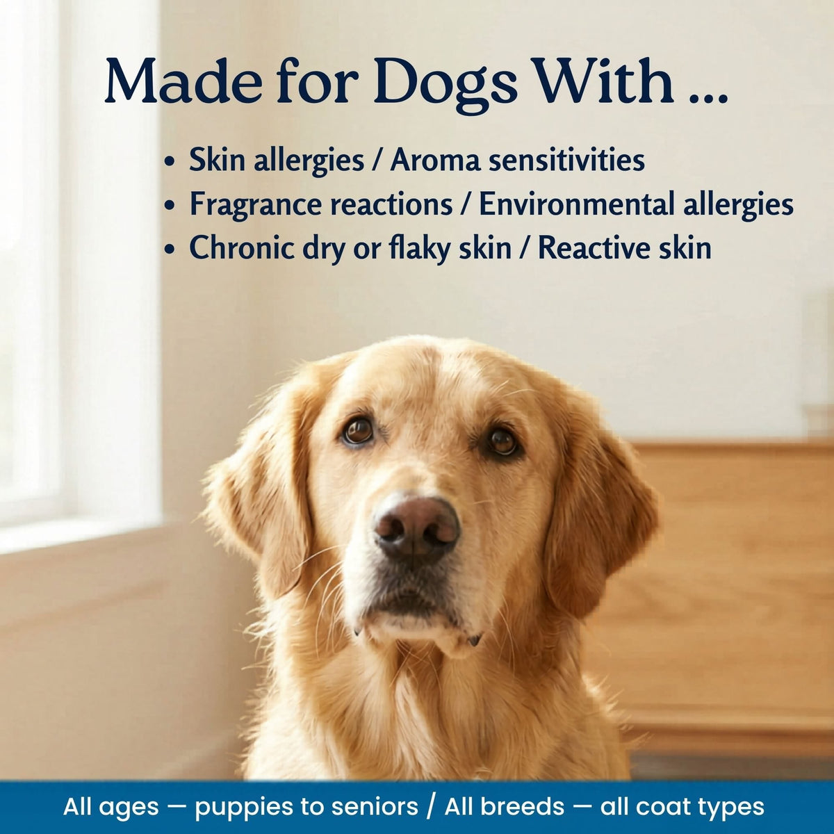 Unscented Organic Dog Shampoo for Sensitive Skin, Aloe-Based Concentrate in Three Bottle Sizes source image 8