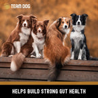 Dog Digestive and Probiotic Soft Chews, 120 Count with Enzyme Blend and Two Billion CFUs per Chew source image 8