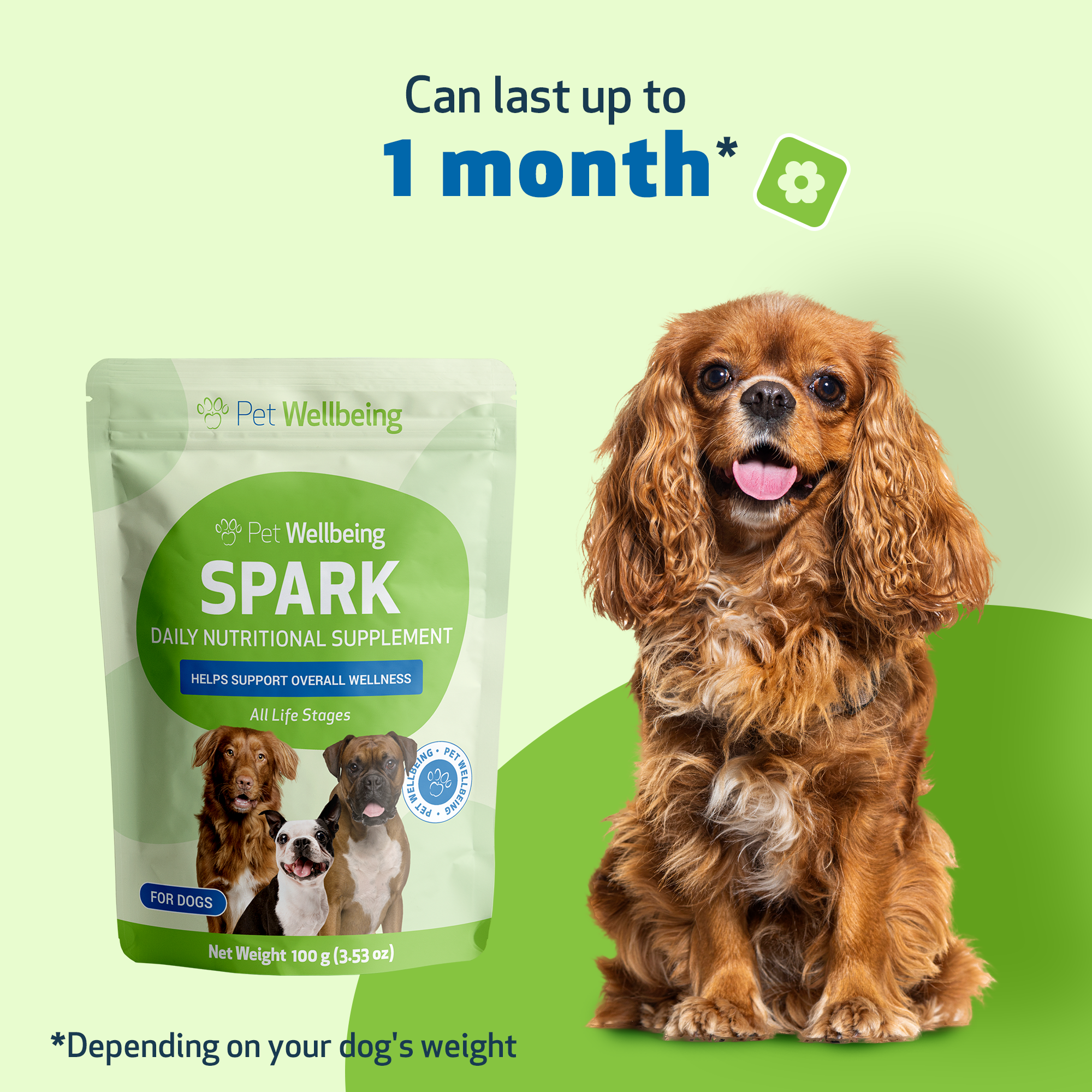 Daily Dog Greens Supplement, 3.53 oz Bacon-Flavored Food Topper for Digestion and Everyday Nutrition source image 8