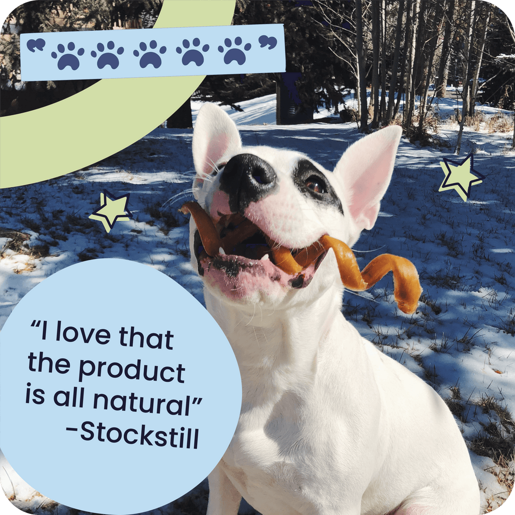 Spiral Bully Sticks for Dogs, Slow-Roasted Beef Pizzle Chews in 3, 10, 25 or 50 Count Packs source image 8