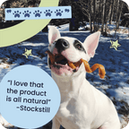 Spiral Bully Sticks for Dogs, Slow-Roasted Beef Pizzle Chews in 3, 10, 25 or 50 Count Packs source image 8