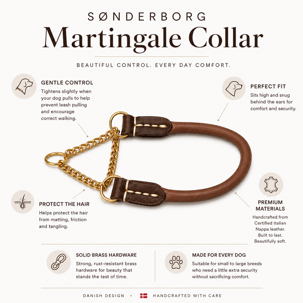 Rolled Leather Martingale Dog Collar, Seam-Free Round Design for Controlled Walks in 10 to 22 Inch Sizes source image 8