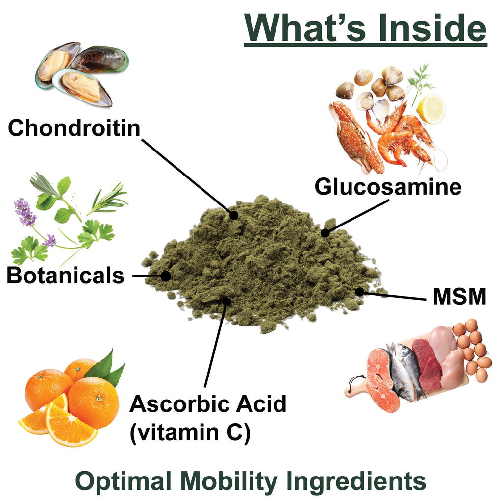 Dog Joint Support Supplement for Daily Mobility, Glucosamine and MSM Powder or Capsule Formats source image 8