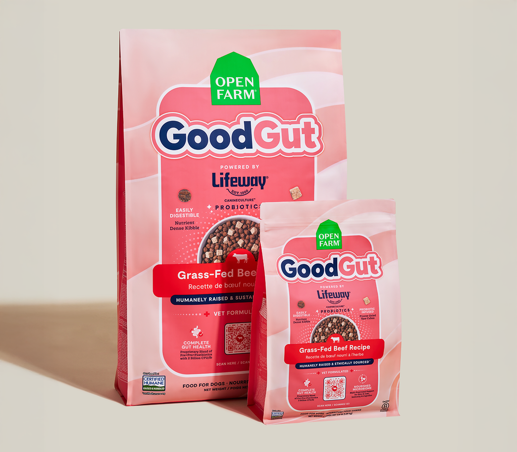 Grass-Fed Beef Dog Kibble with Freeze-Dried Raw Cubes and Probiotics, Complete Recipe for All Life Stages source image 8