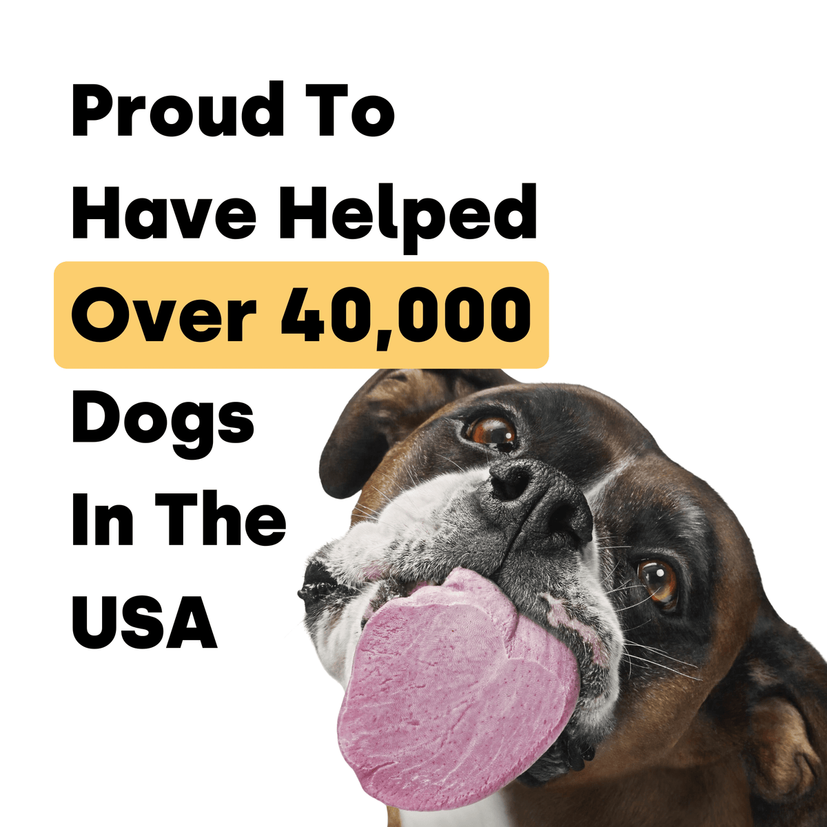 Dog Itch and Allergy Support Chews for Skin and Immune Response, Offered in One- to Six-Pack Quantities source image 8