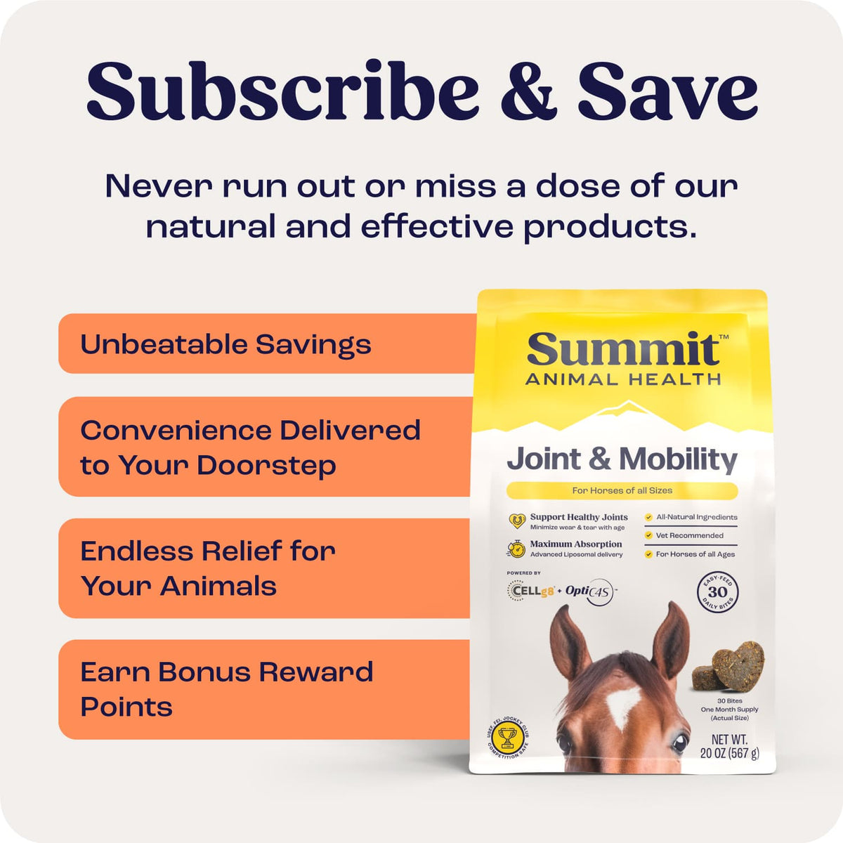 Bites for Horses by Summit Animal Health, subscription offer with savings and rewards.