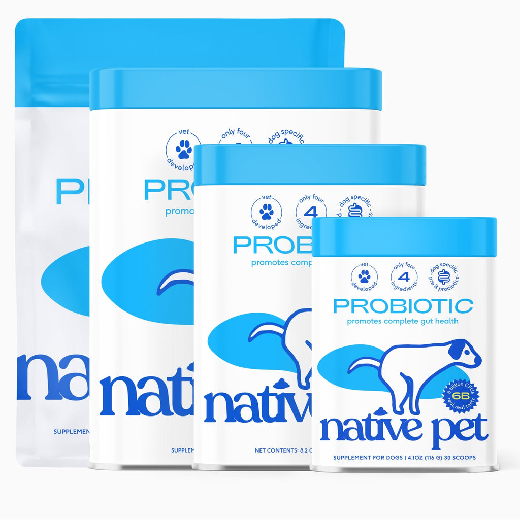Daily Dog Probiotic Powder with Four Canine-Specific Strains and Prebiotic Fiber, 1.7 oz to 240 Scoops product image 8