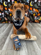 Dog Chew Variety Pack product image 8