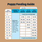 Beef and Ancient Grains Dry Dog Food product image 8