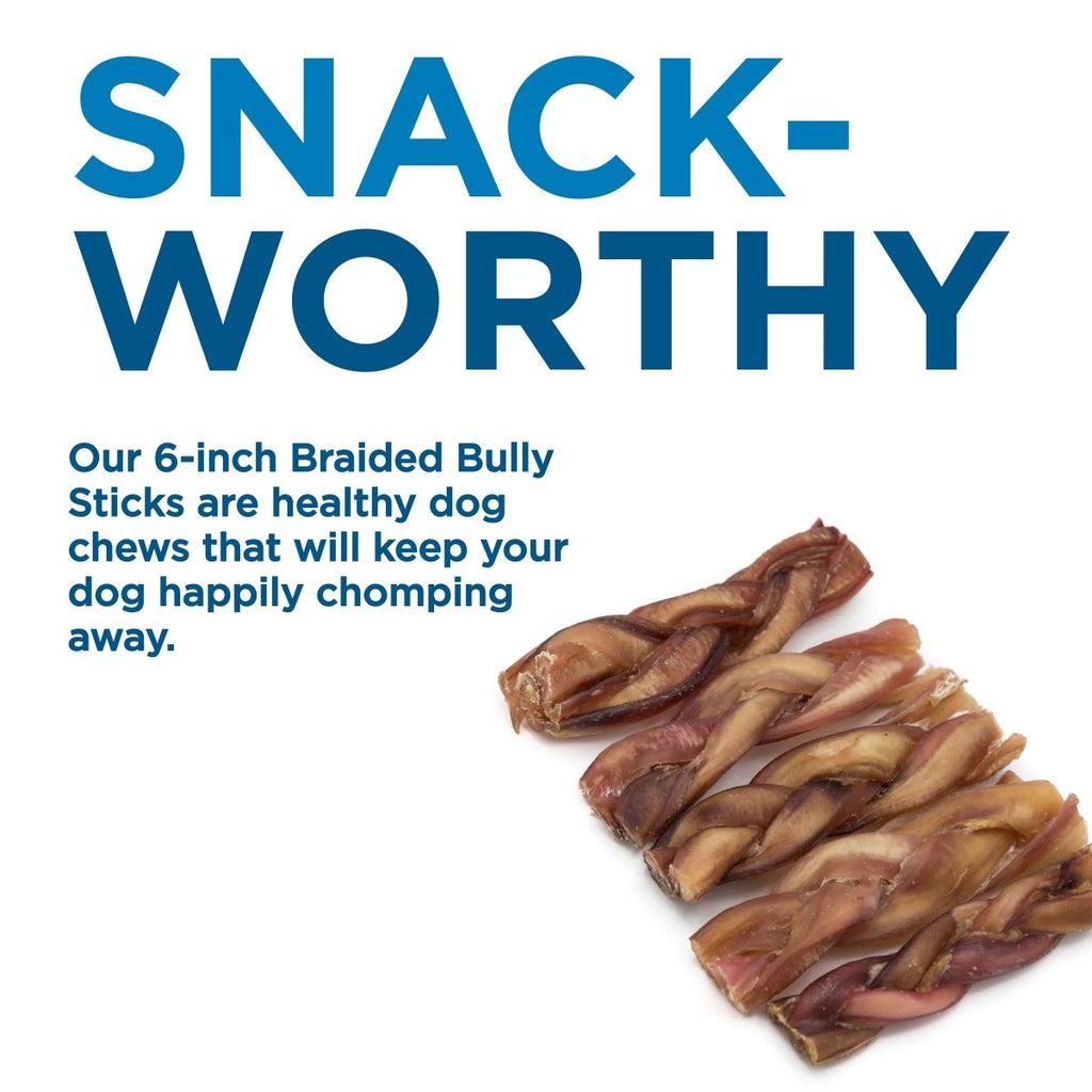 Braided Bully Stick Dog Chews Made from 100% Beef, Six-Inch Treats in Four Multi-Pack Quantities source image 8