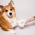 Extra Large Dog Grooming Wipes for Paws, Fur and Skin, Convenient Cleanup Between Regular Baths source image 8