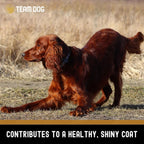 Dog Skin and Coat Supplement Soft Chews product image 8