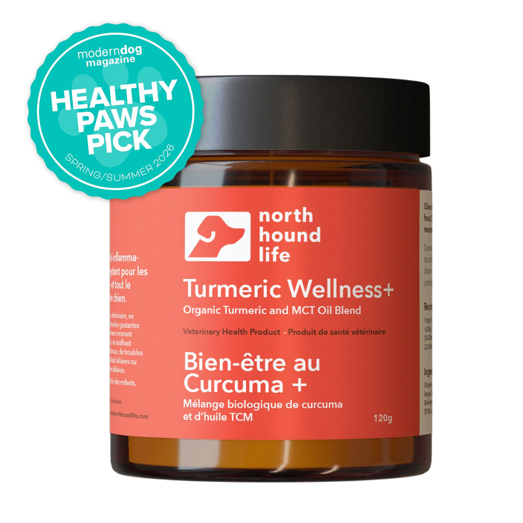 Turmeric Wellness Powder for Dogs product image 8
