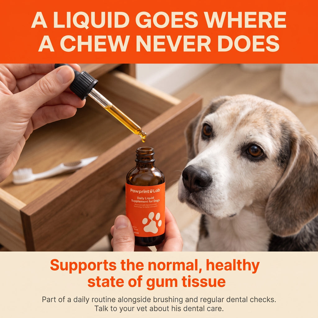 Liquid Dog Wellness Supplement product image 8