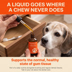 Liquid Dog Wellness Supplement product image 8
