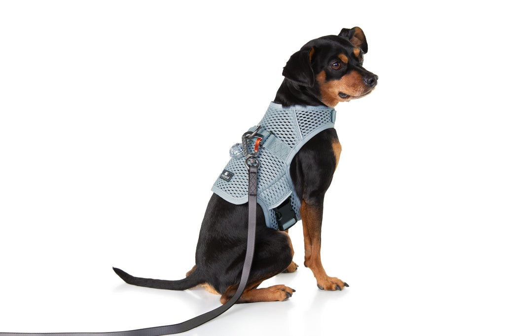Martingale Dog Harness product image 8