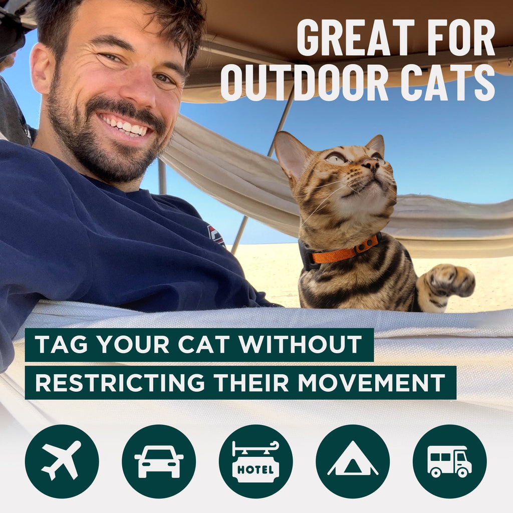 Breakaway Cat Collar product image 8