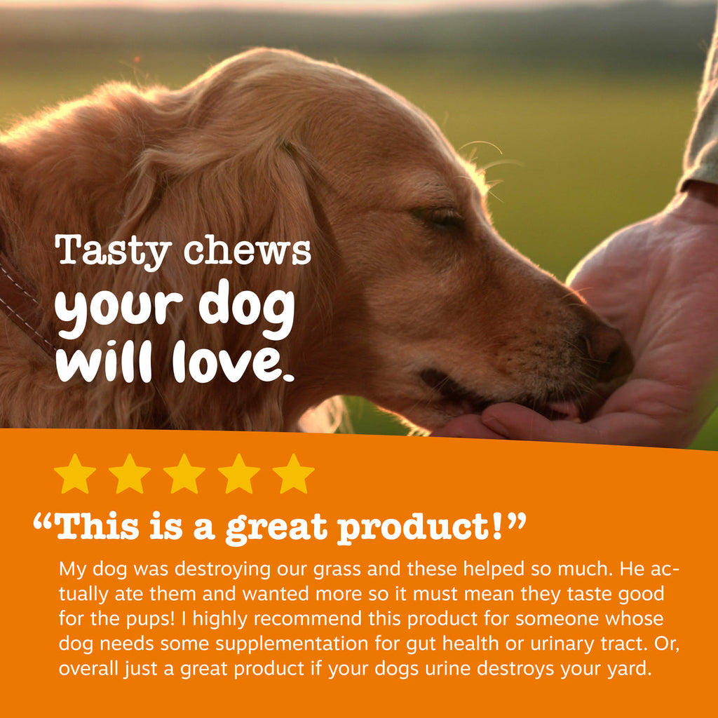 Dog Urinary and Lawn Support Soft Chews product image 8