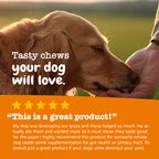 Dog Urinary and Lawn Support Soft Chews product image 8