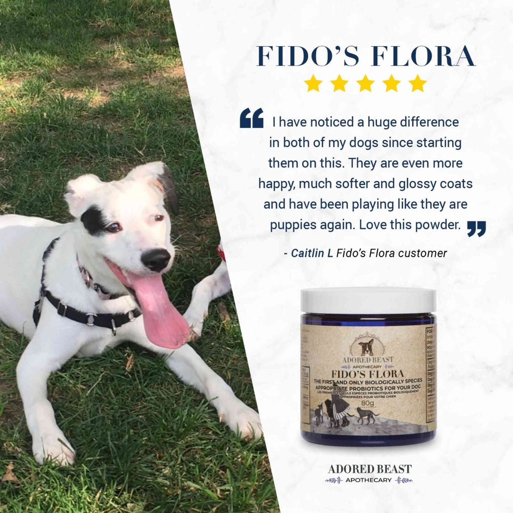Canine Probiotic Powder product image 8