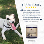 Canine Probiotic Powder product image 8