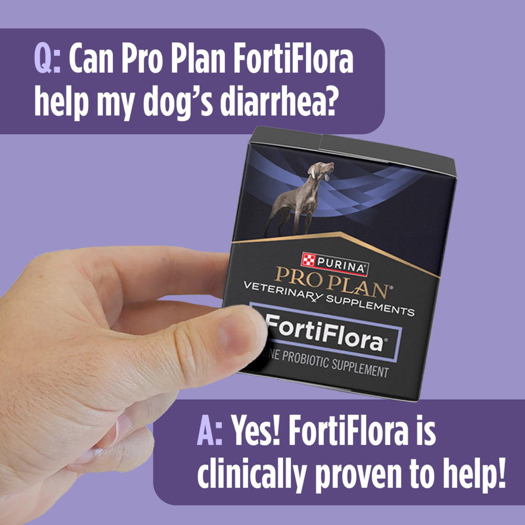 Dog Probiotic Powder Packets product image 8