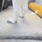 Dog Car Seat Cover product image 8